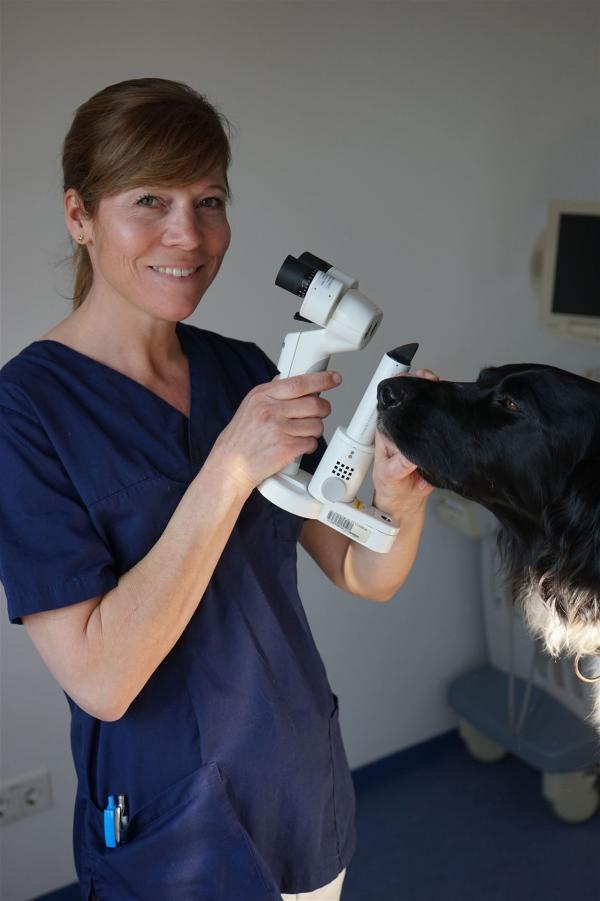 Dr. Constanze Ostertag Zb: Augenheilkunde, GPCert Ohptal